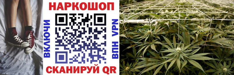 Где купить наркоту Кодинск ГАШ А ПВП Мефедрон Канабис