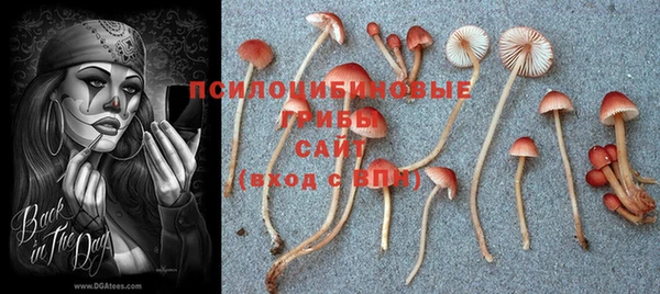 дурь Нефтегорск