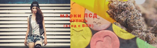 PSILOCYBIN Беломорск