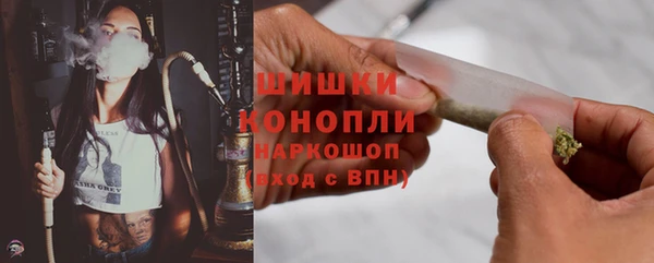 крисы Белокуриха