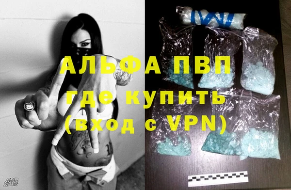 PSILOCYBIN Беломорск