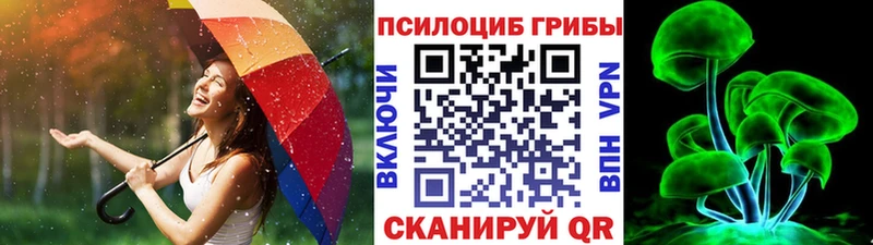 mega сайт  Кодинск  Галлюциногенные грибы Cubensis 